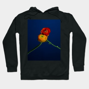 Ranunculus - Entwined Hoodie